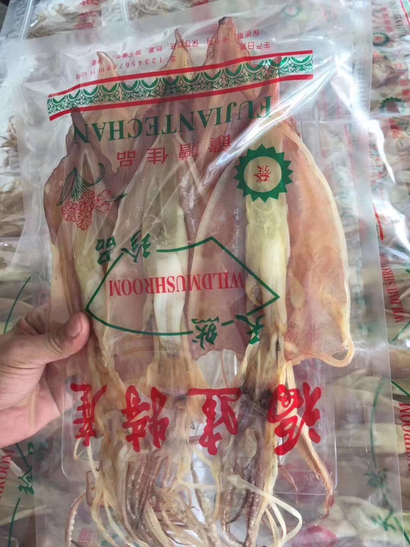 超大鱿鱼母
