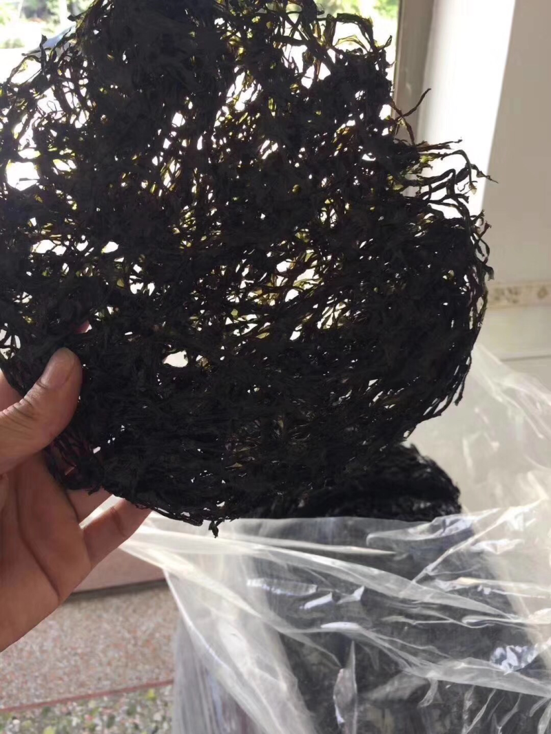 东山紫菜特别新鲜可口