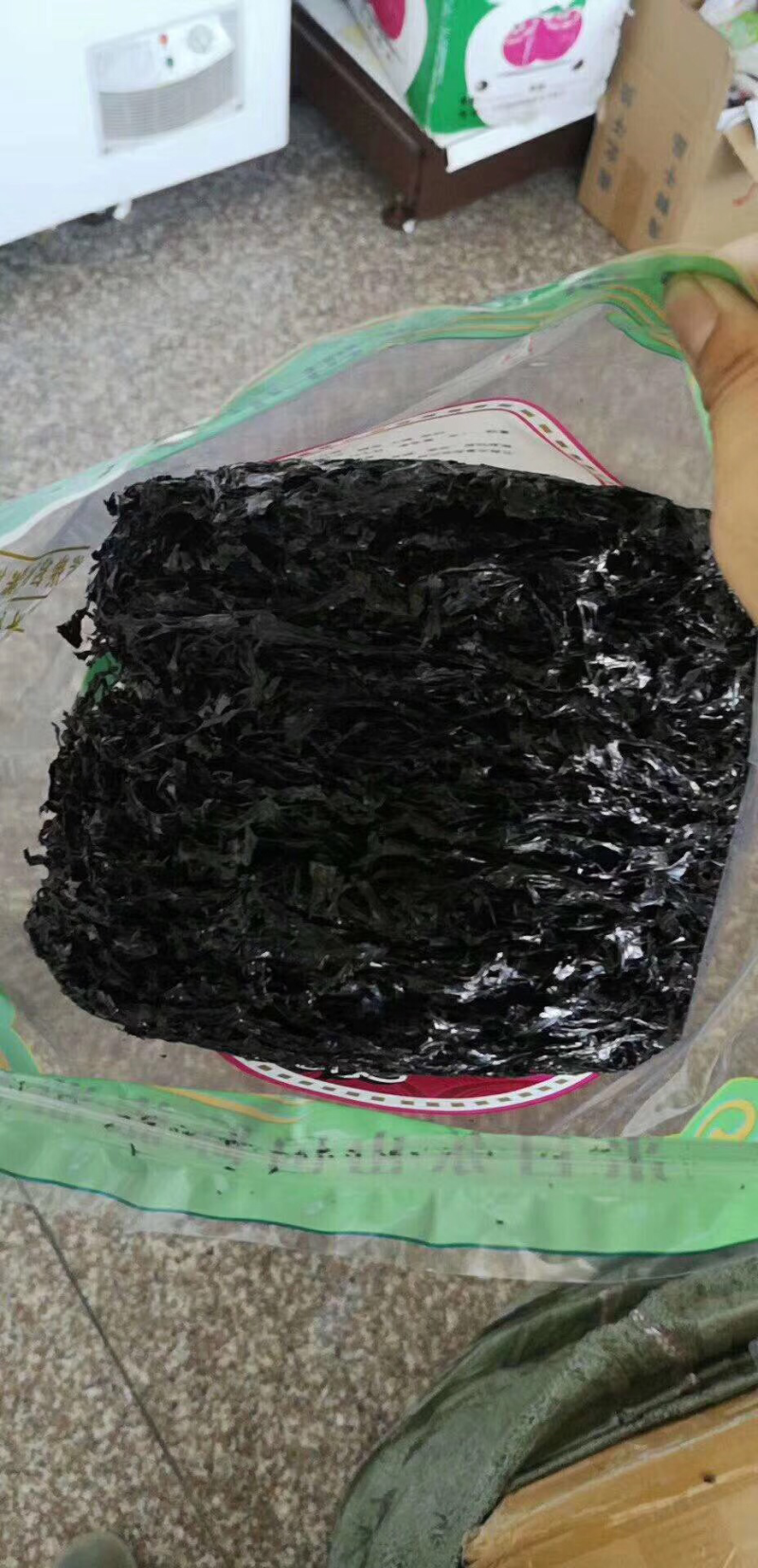 东山紫菜特别新鲜可口