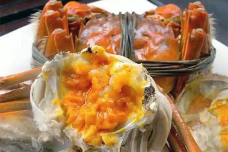螃蟹食用雌蟹