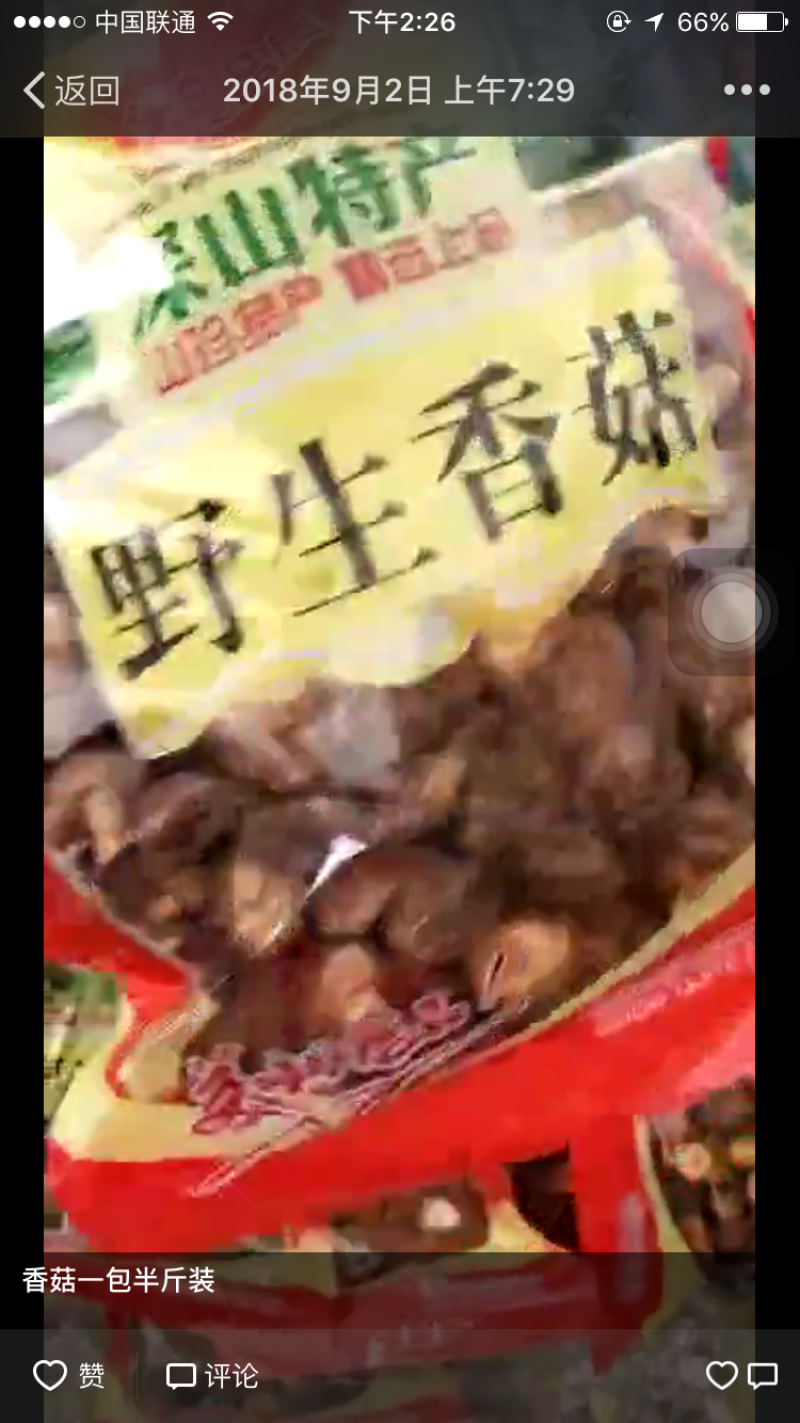 野生香菇巨香
