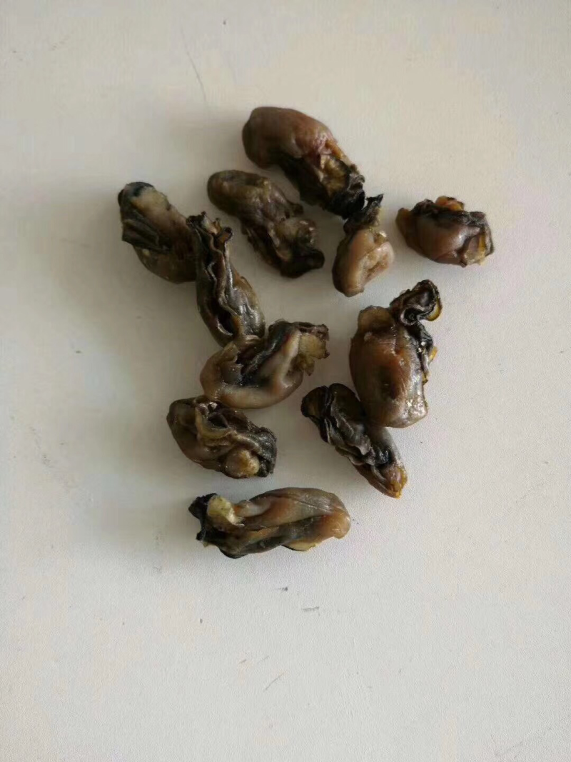 海蛎干