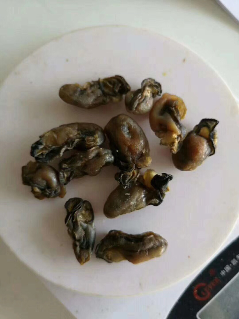 海蛎干