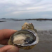 海蛎干