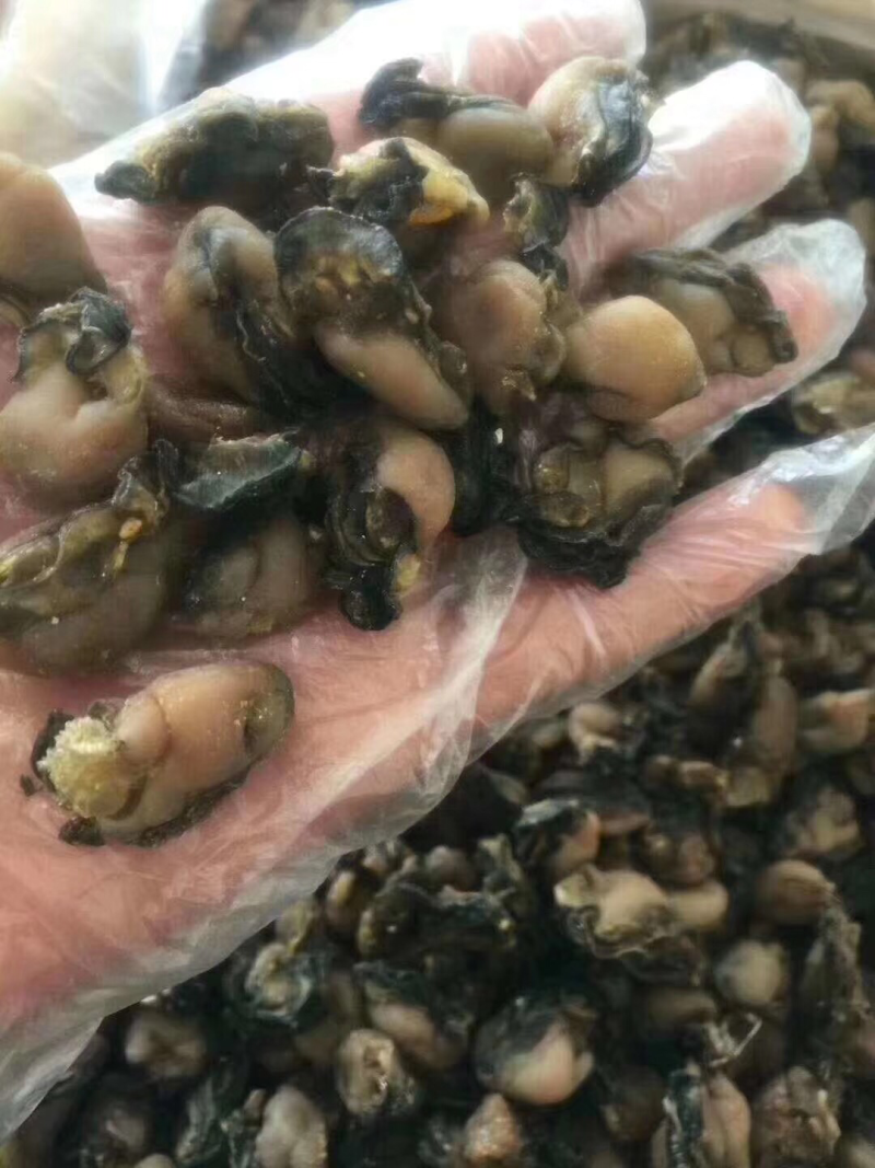海蛎干