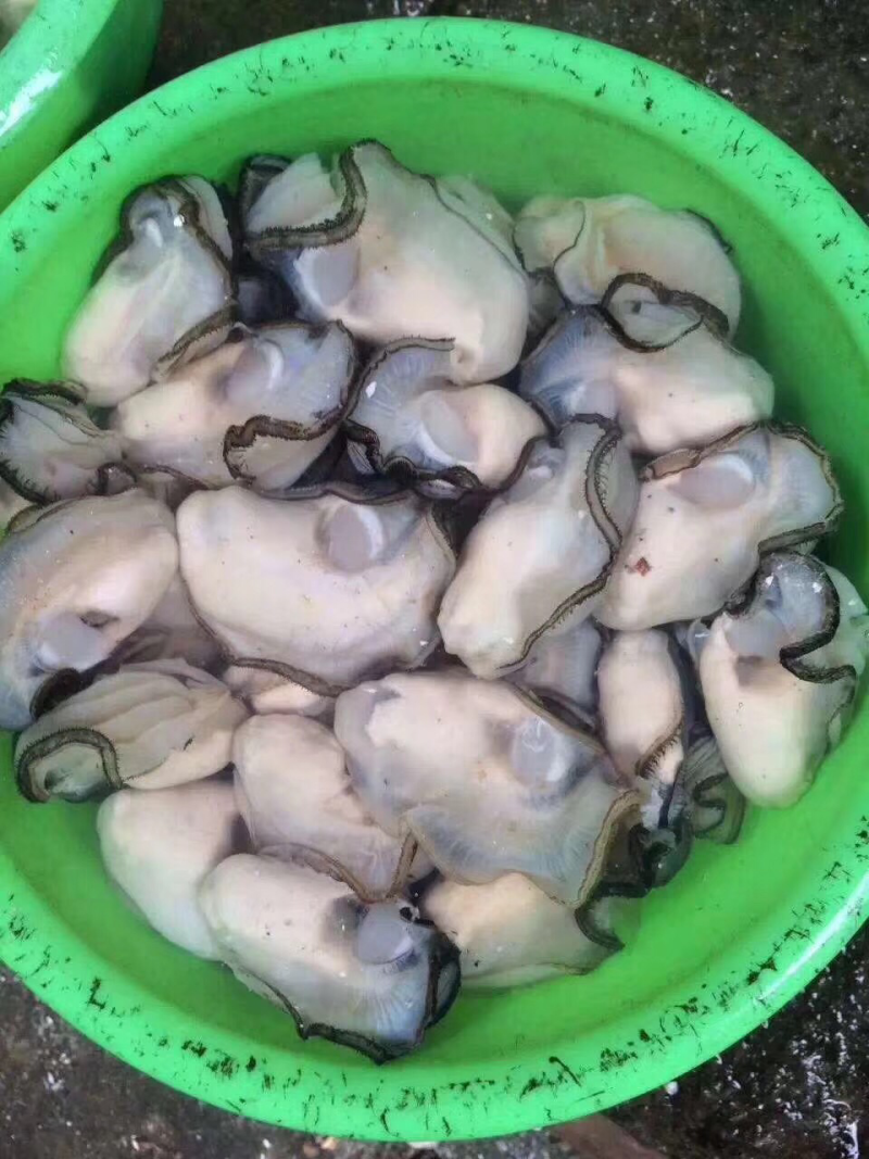 海蛎干