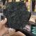 海带丝补钙补碘
