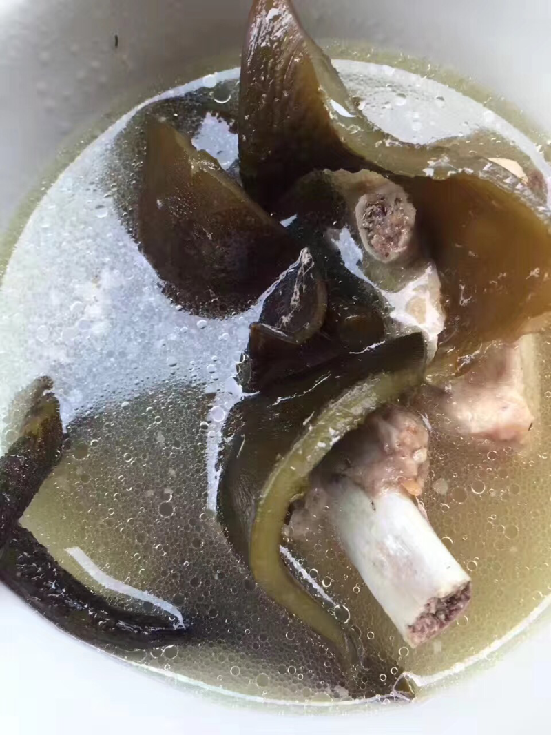海带结