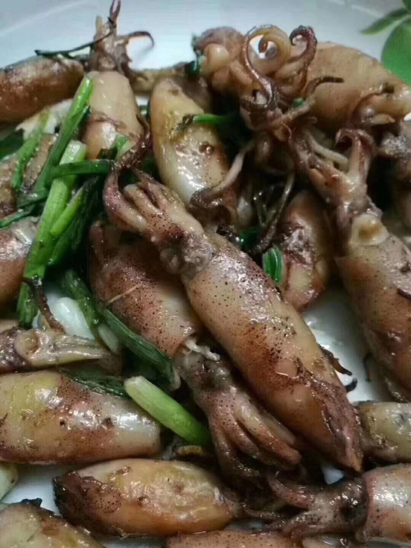 小管鱼