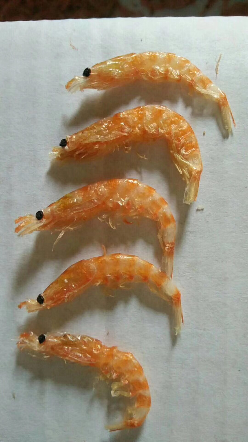 软壳虾皮诏安海鲜干地道特产