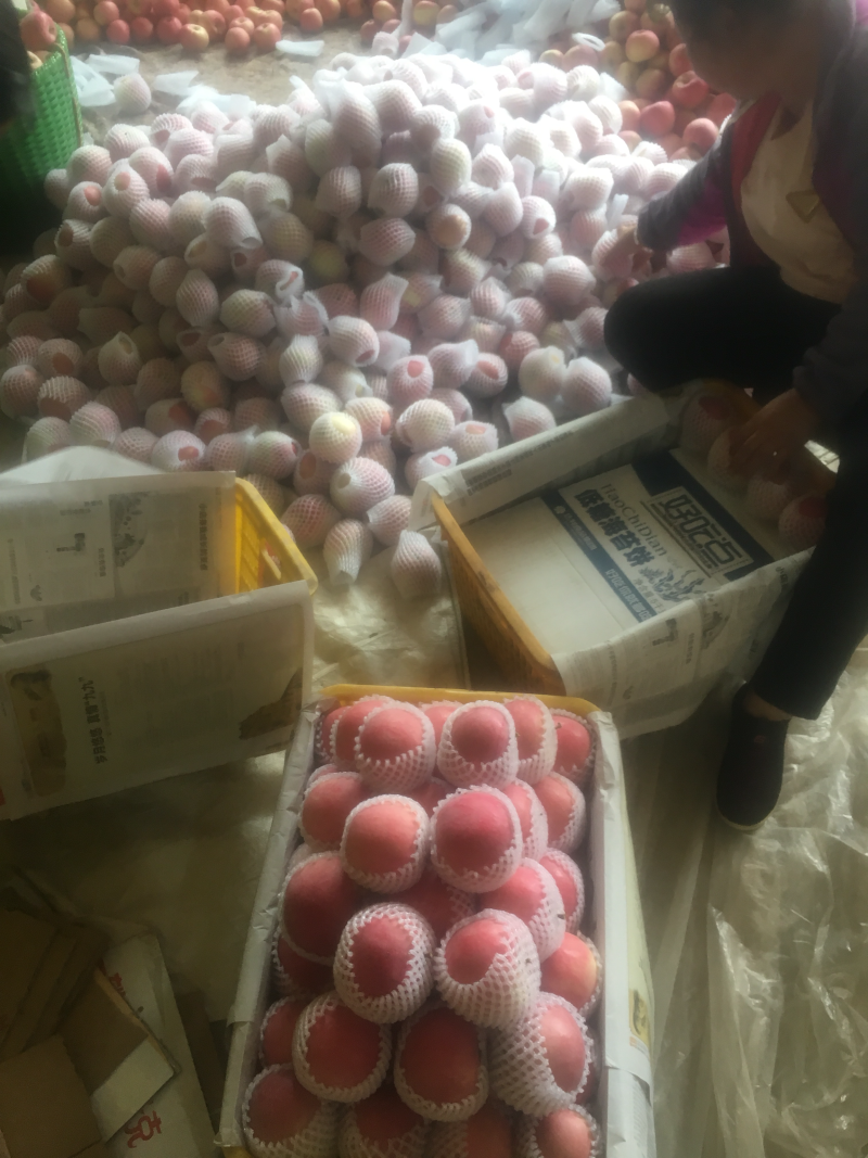 70/7580/8590/特