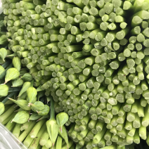 今年小韭菜头茬韭苔