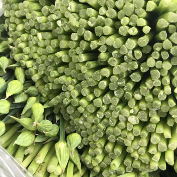 今年小韭菜头茬韭苔