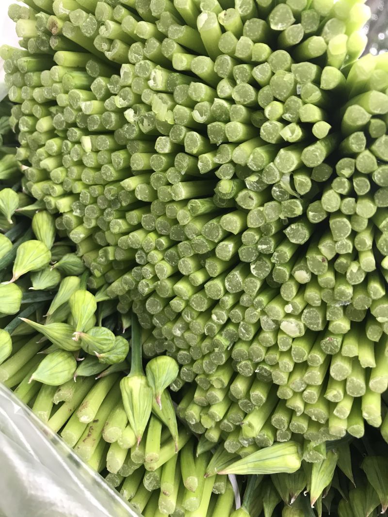 今年小韭菜头茬韭苔