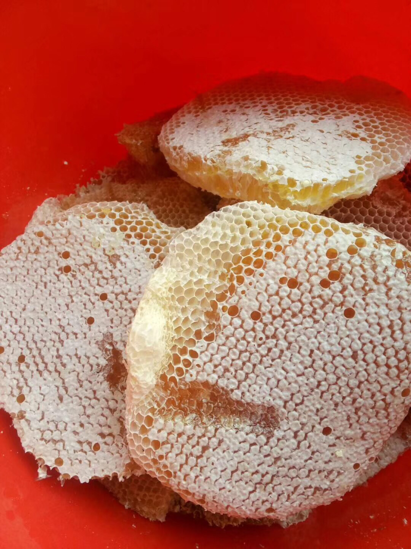 正宗纯天然土蜂蜜