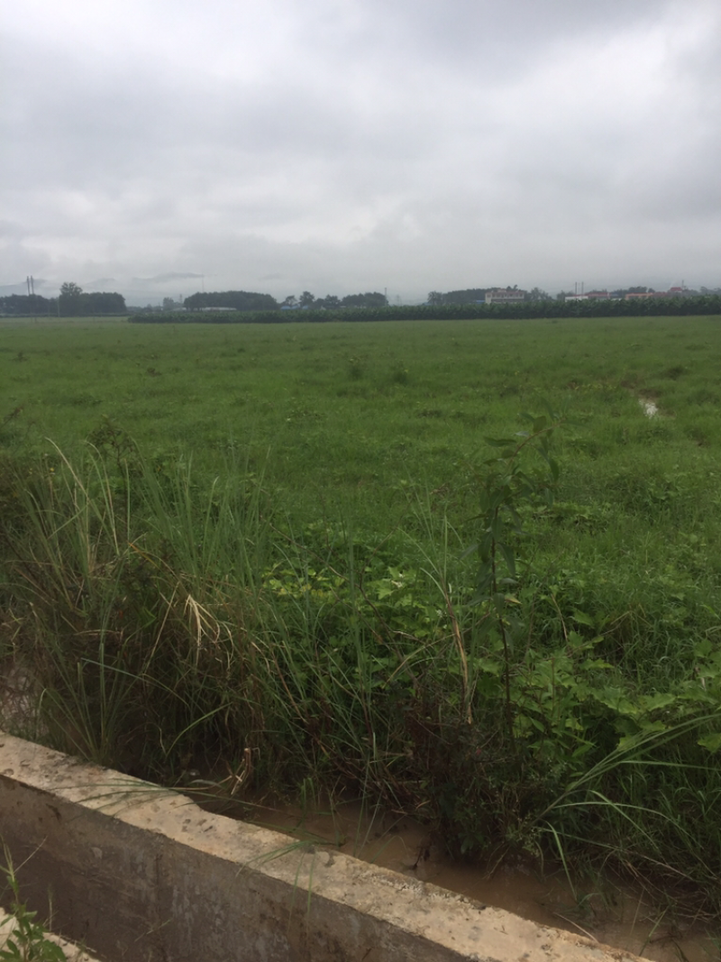西双版纳土地出租