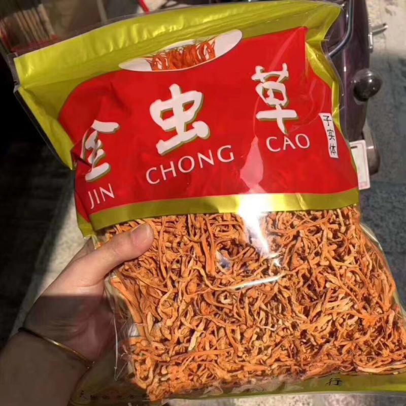 虫草花