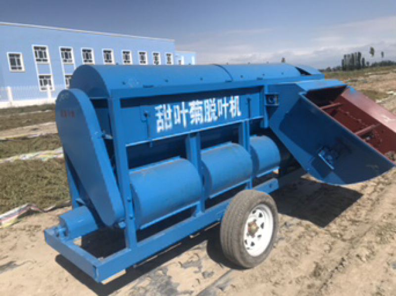 新疆高品质甜叶菊