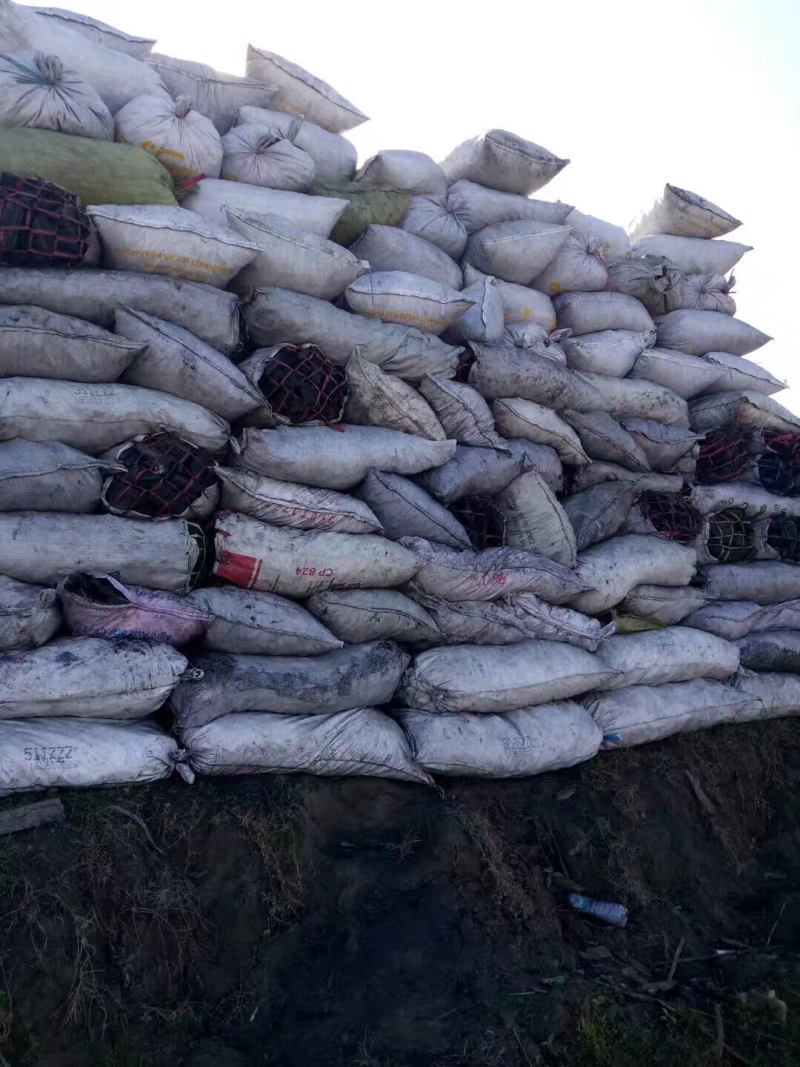 大量供应木炭（工业用碳）需要联系，价格量大可谈