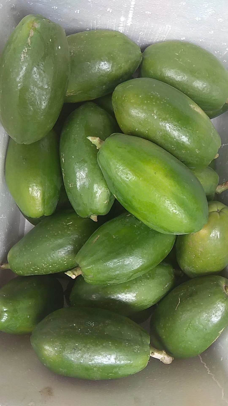 木瓜，广西产地直发！品相好，口感甜，营养丰富！