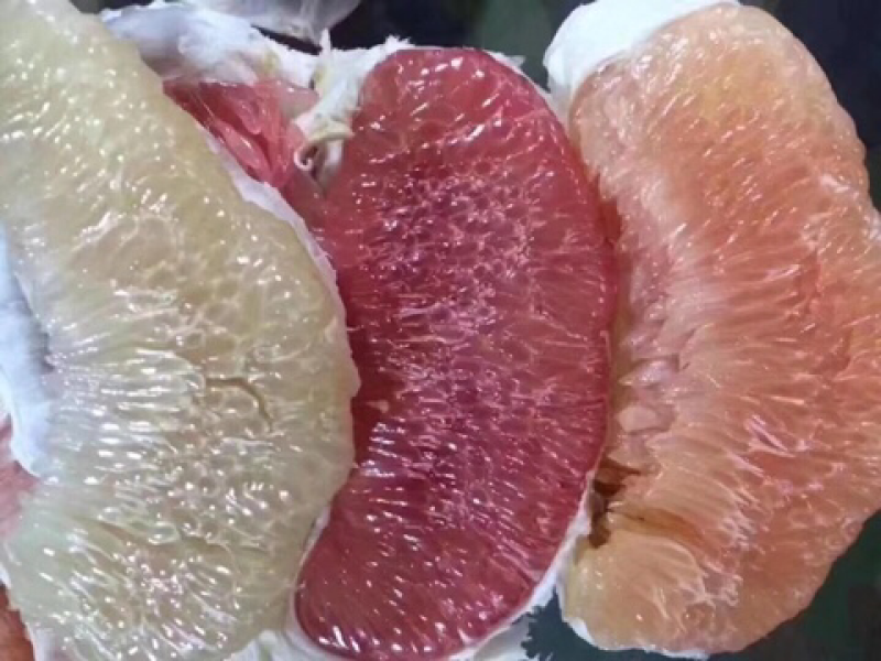 梅州柚子，有现货大量批发。