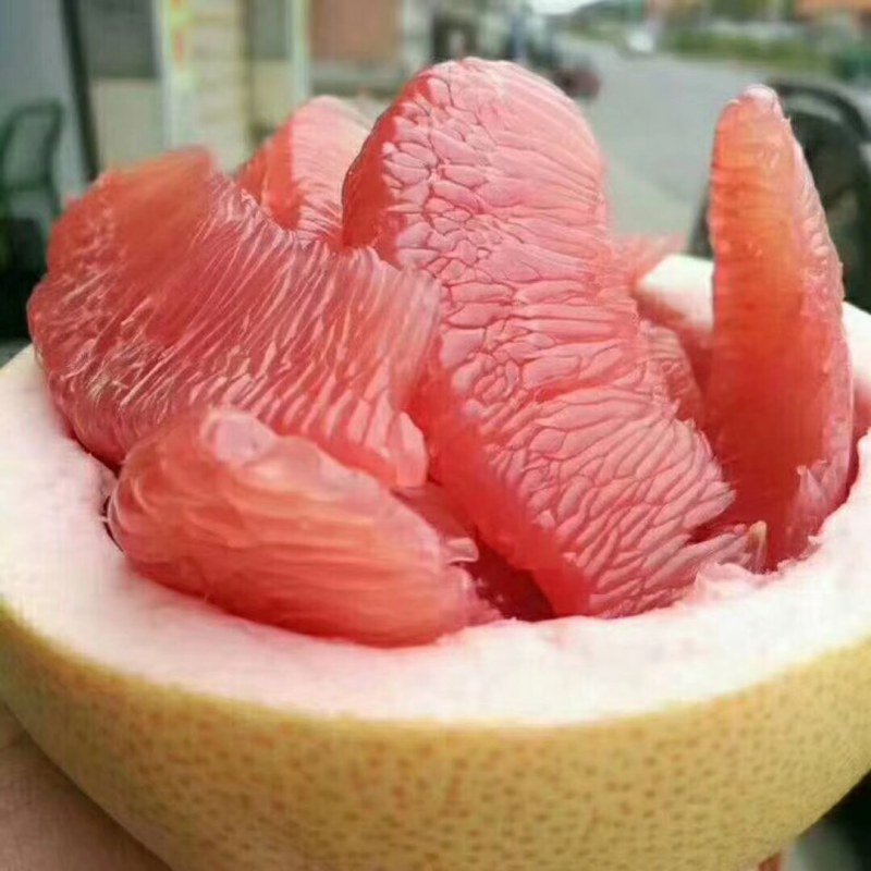 梅州柚子，有现货大量批发。