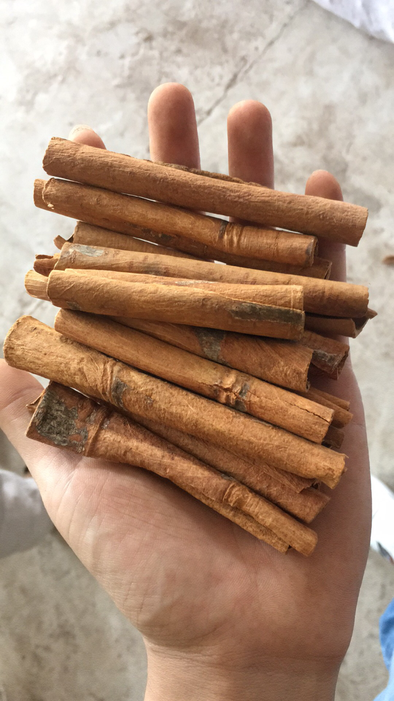 肉桂皮烟桂皮广西桂皮