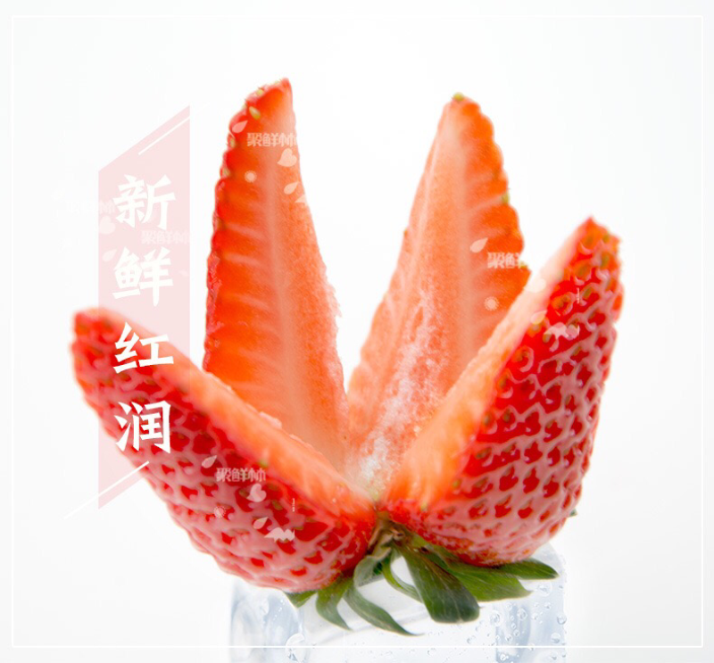 供应大厅专业队伍12月草莓红颜草莓大量代理专业队
