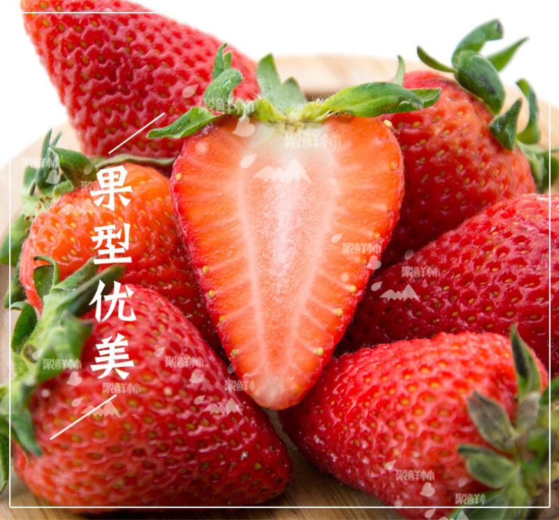 供应大厅专业队伍12月草莓红颜草莓大量代理专业队