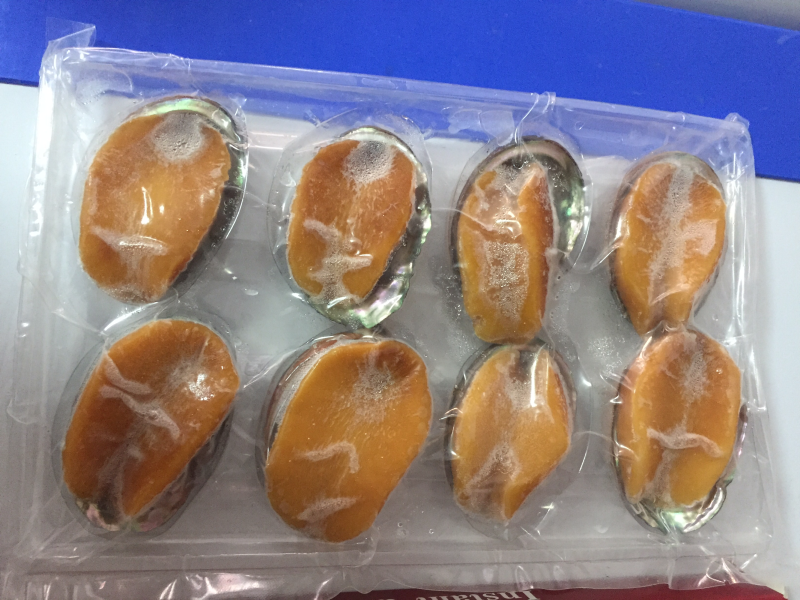 黄金鲍鱼^_^
