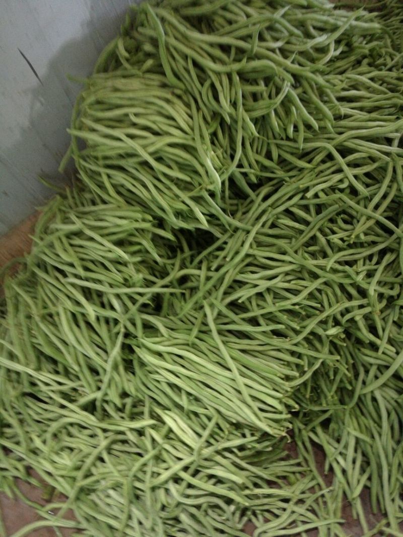无筋豆20厘米以上，品质有精品，中等，次品，价格实惠！