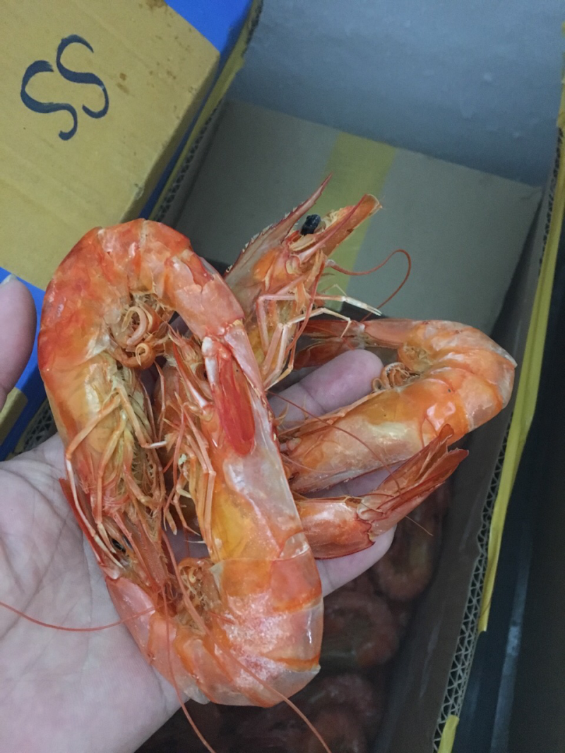 湛江特产烤虾干