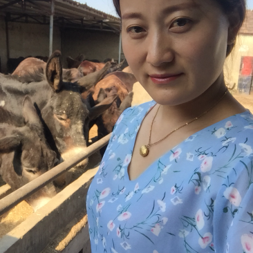 驴肉