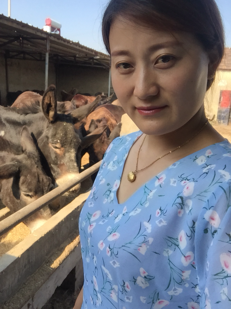 驴肉