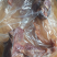 驴肉