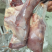 驴肉