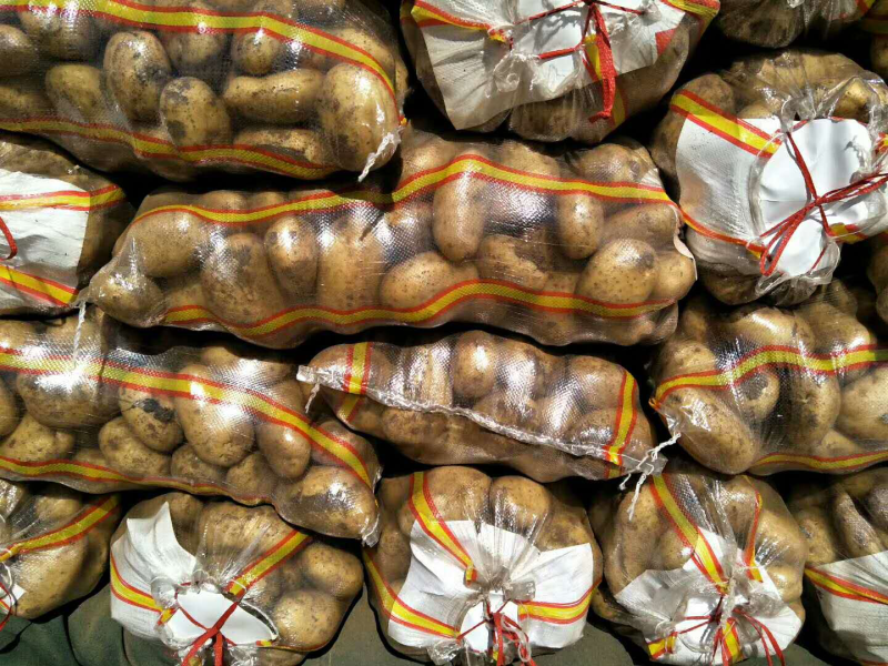【牛商推荐】荷兰土豆产地直供专注精品各类包装全年有货