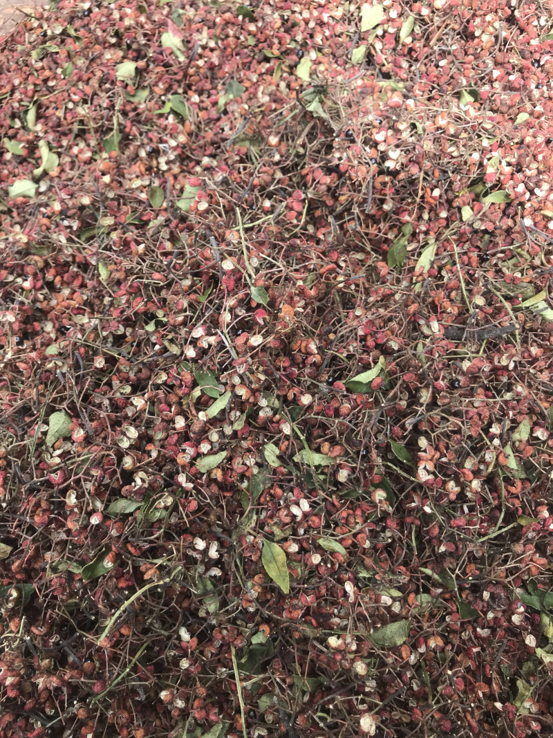 山东大红袍花椒红花椒可视频看货诚信经营质量保证