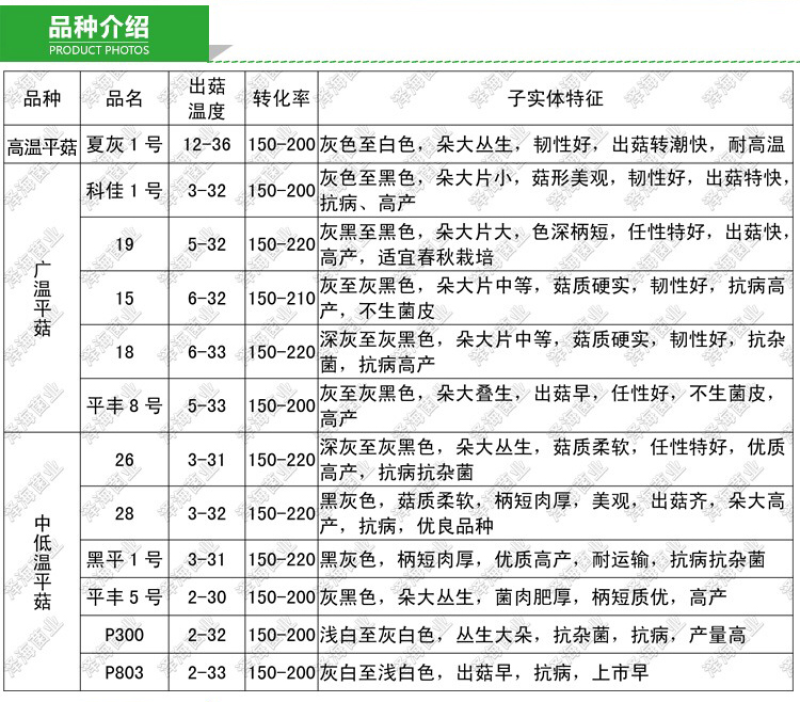 平菇试管母种，需要请联系，品种多