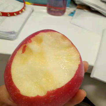 富士