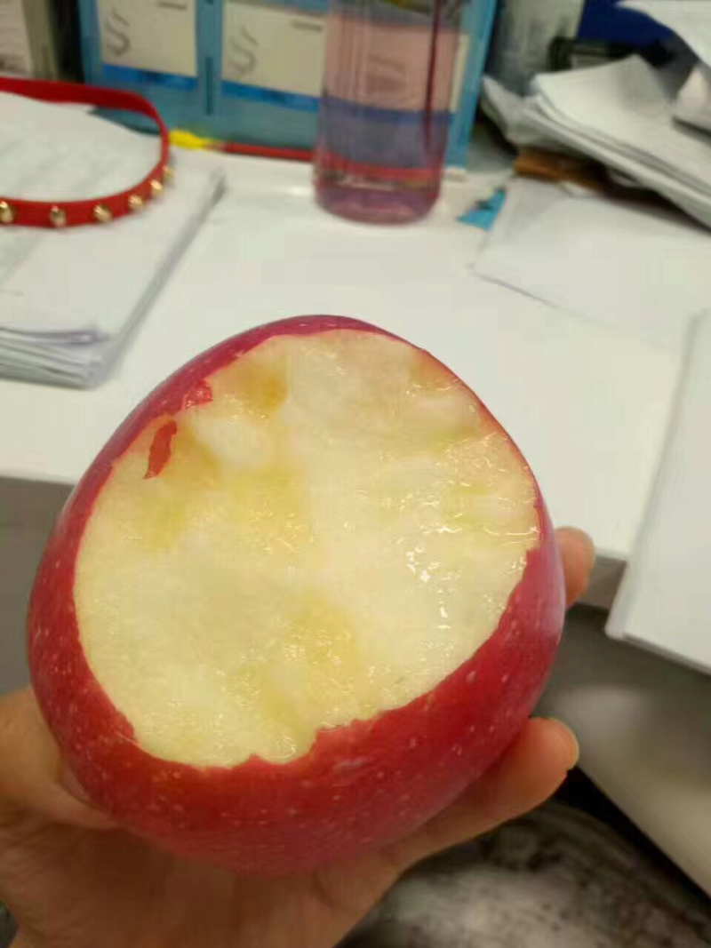 富士