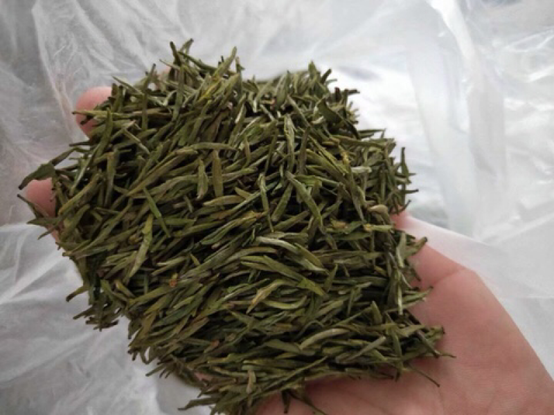 岳西翠兰，翠尖，高山野生茶出售