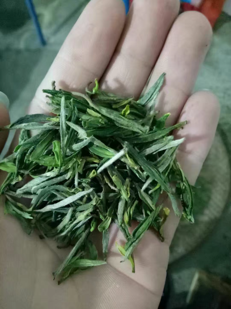 岳西翠兰，翠尖，高山野生茶出售