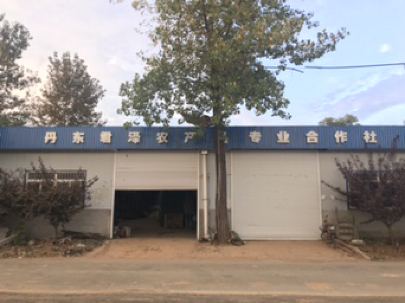丹东板栗，产地直发，诚邀合作，保质保量，价格实惠。