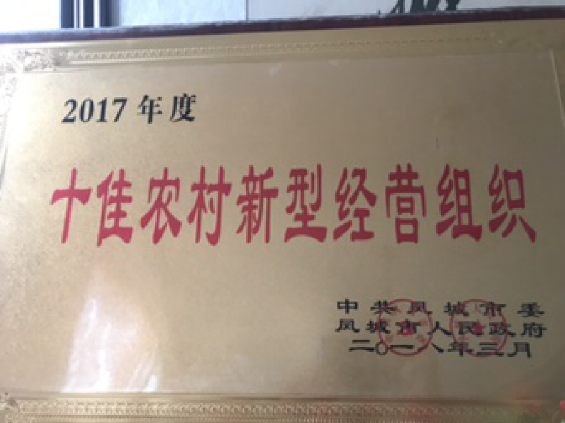 丹东板栗，产地直发，诚邀合作，保质保量，价格实惠。