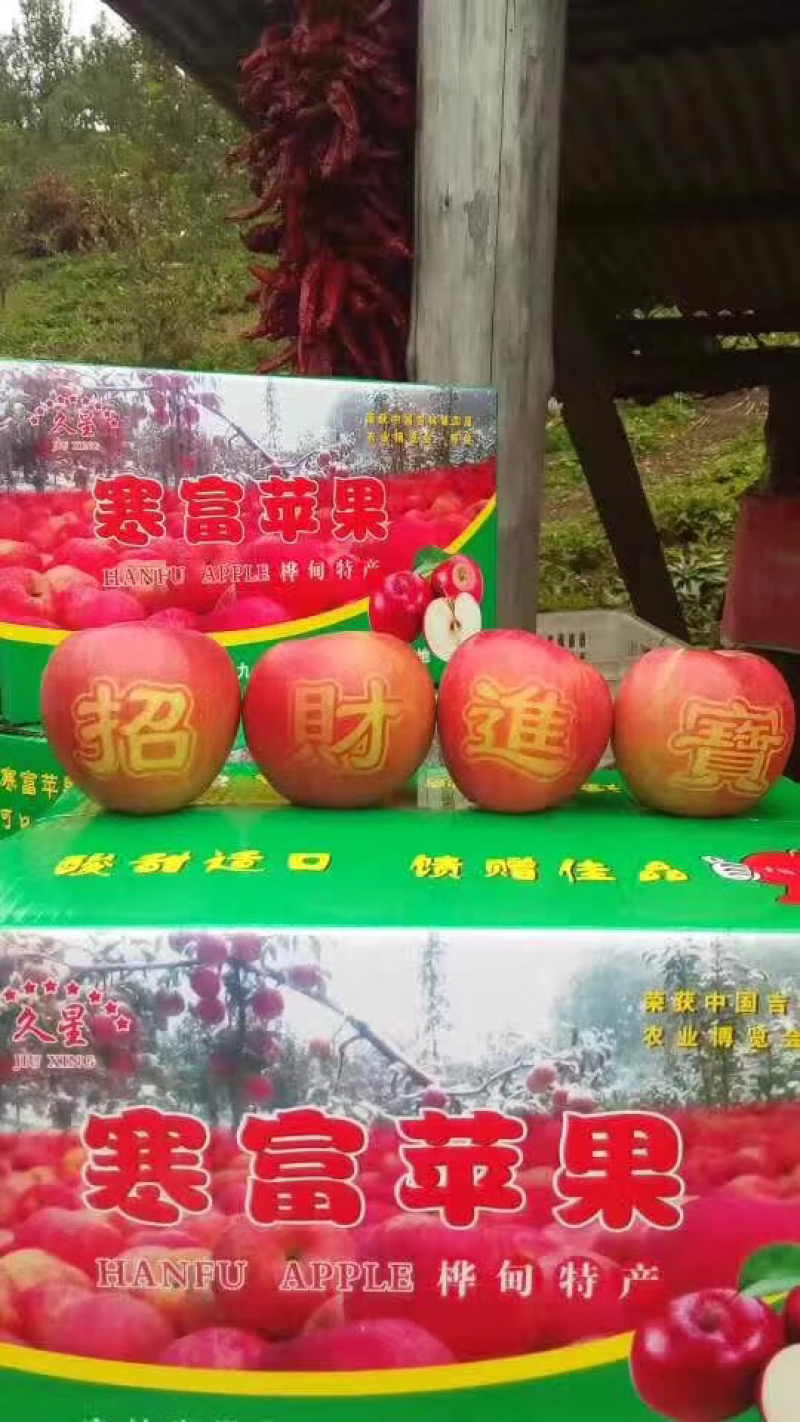 吉林省桦甸市寒富苹果