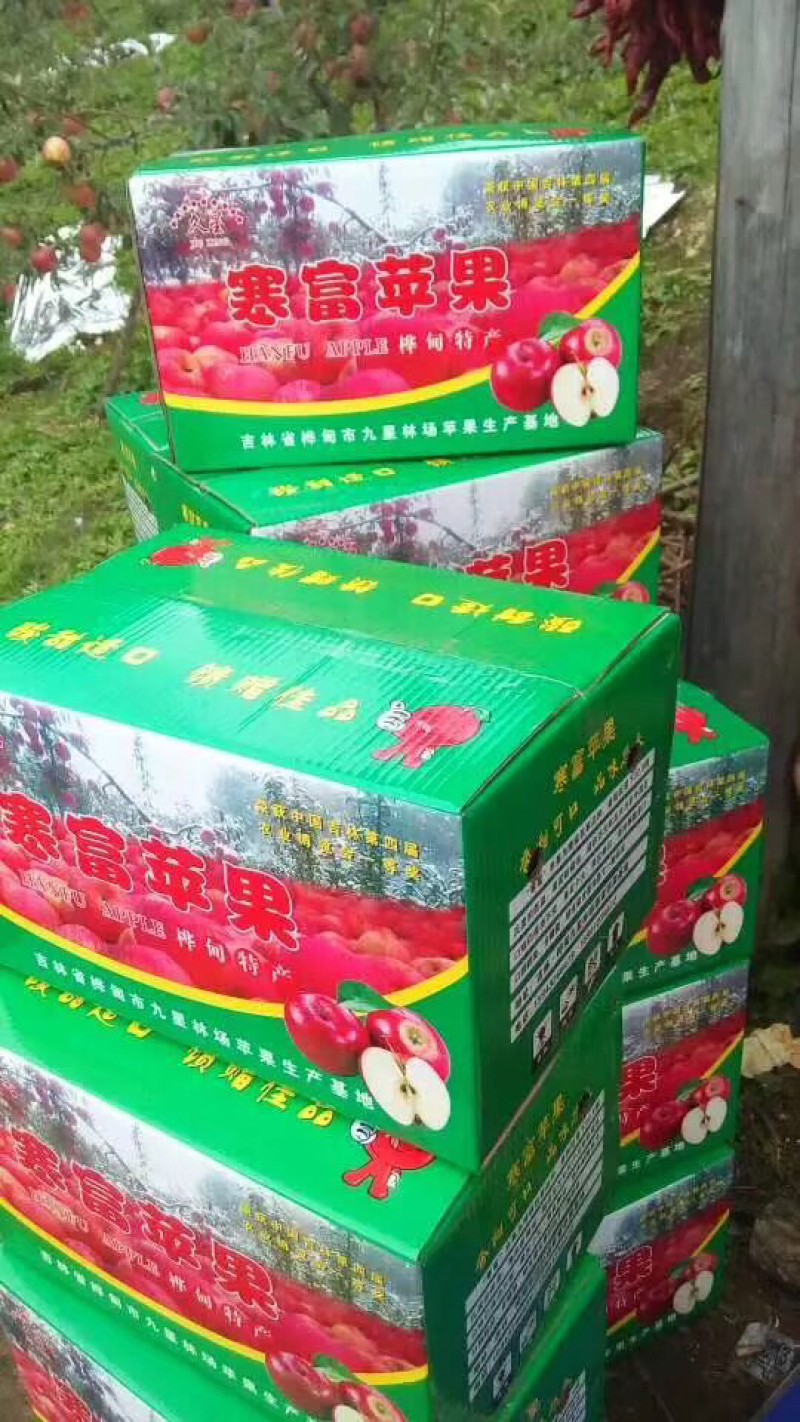 吉林省桦甸市寒富苹果