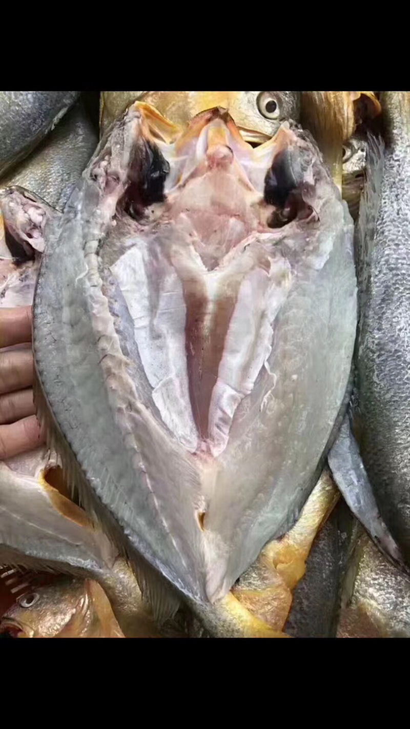 咸香大黄鱼
