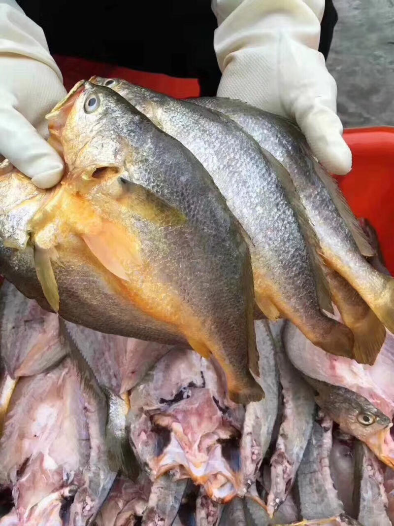 咸香大黄鱼