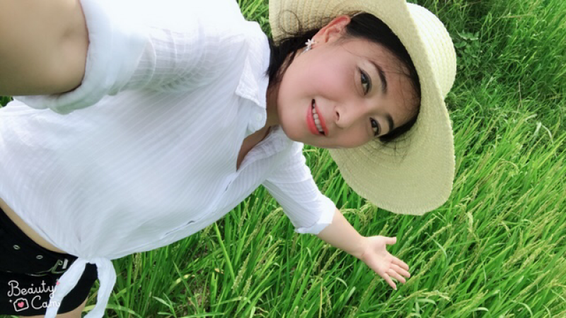 高原有机大米